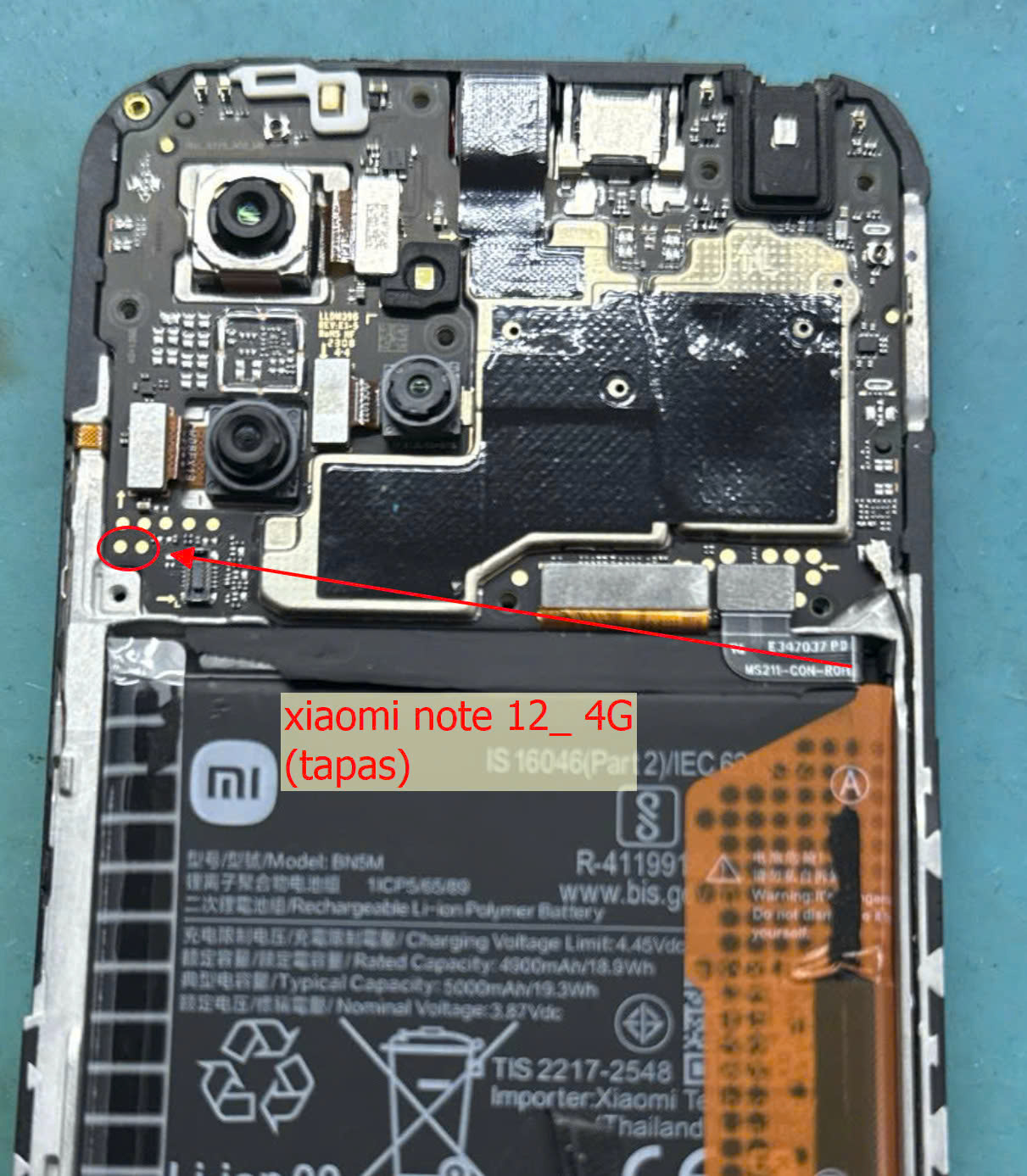 Redmi Note 12 4g tapas Test Point UnlockTool